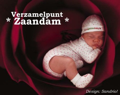 Vzp zaandam